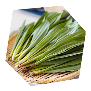 行者にんにくの画像