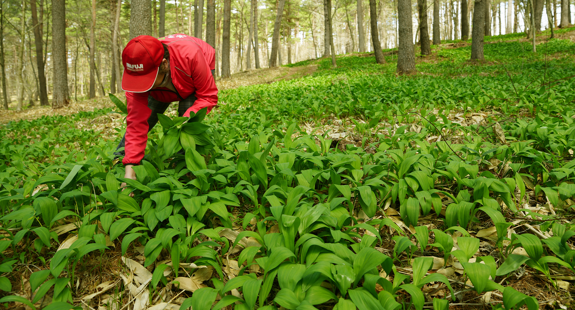 メインビジュアル1