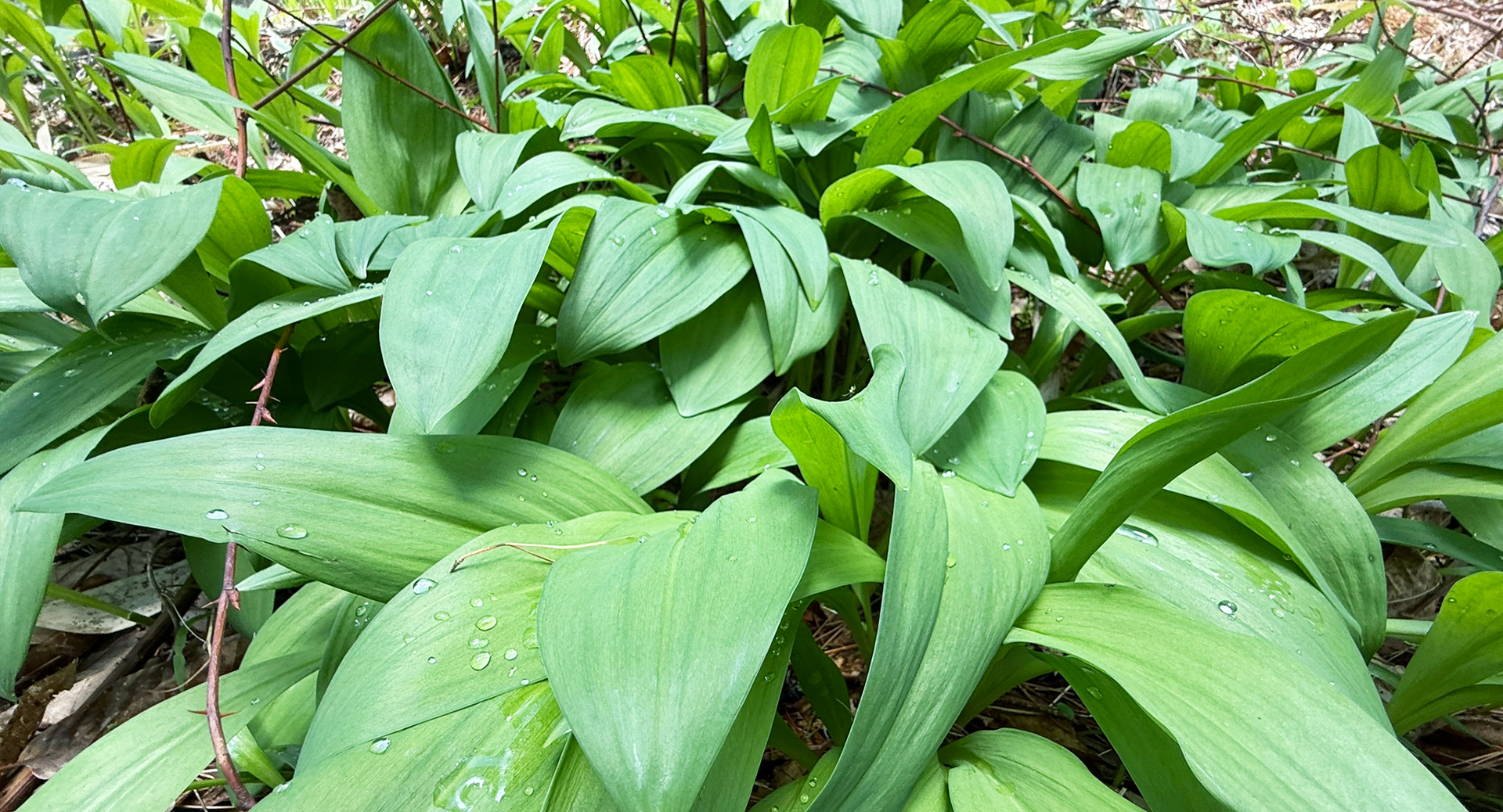 メインビジュアル2